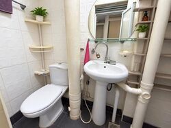 Blk 556 Jurong West Street 42 (Jurong West), HDB Executive #635387541
